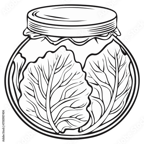 Line Drawing of a Glass Jar Filled with Fresh Cabbage for Preservation