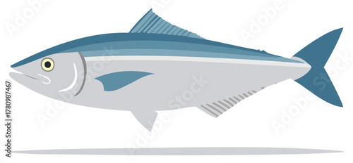 Isolated tuna illustration with bluish accents on white background for food design
