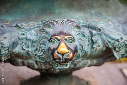 The lion's face is made of bronze with a polished nose on a bright sunny day. Flora, nature, plants, landscape of parks.