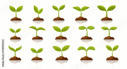 Collection of young green plant sprouts growing from soil, new life and ecology concept vector illustration