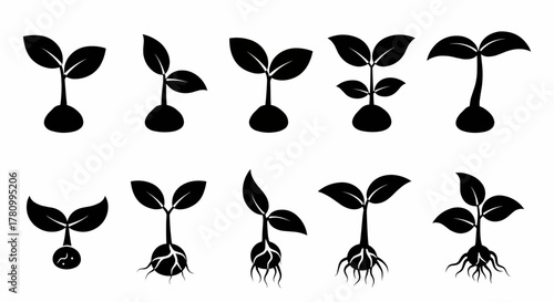 Set of black plant sprout icons showing stages of growth with leaves and roots, a vector illustration