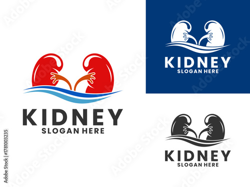 Kidney with water elegant logo design vector template