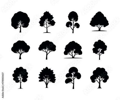 Detailed american elm tree illustration in vector format