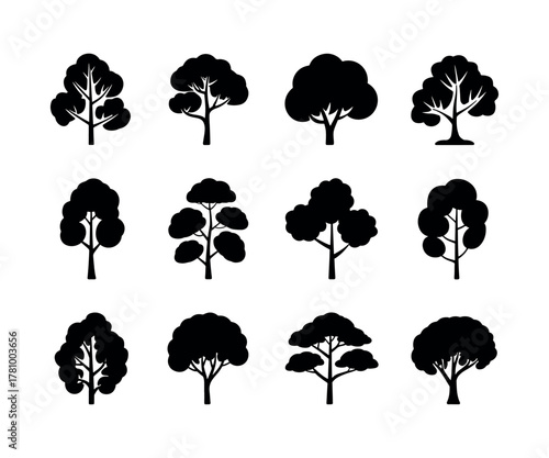 Detailed illustration of an american elm tree in vector format