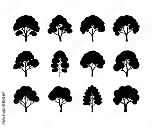 Detailed illustration of an american elm tree