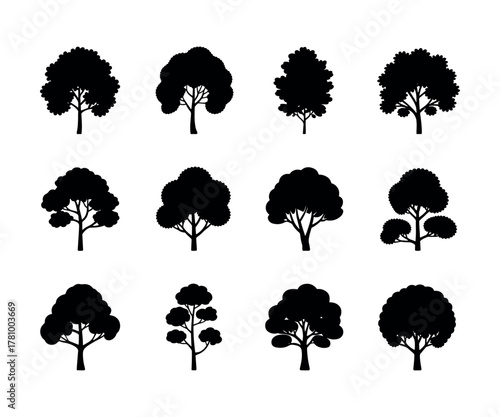 Detailed illustration of an american elm tree