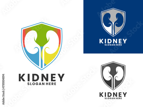 Kidney with shield color logo design vector template. Kidney protection logo design icon
