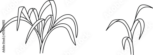 Stylized outline drawings of grass or reeds plant nature