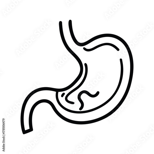 Simple line drawing of a human stomach organ