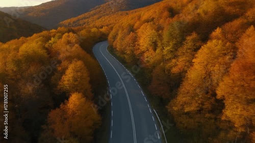 Cinematic 4K Drone Aerial View of Winding Mountain Road with Vibrant Autumn Foliage in Scenic Forest Landscape/紅葉に包まれた山道のシネマティック4Kドローン空撮映像 – 鮮やかな秋の森の風景