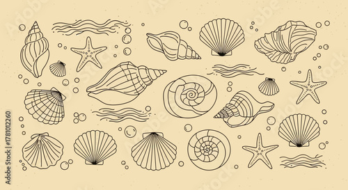 Exquisite line art collection featuring a variety of seashells, starfish, and ocean waves, evoking a serene seaside ambiance, ideal for nature-inspired designs and summer projects