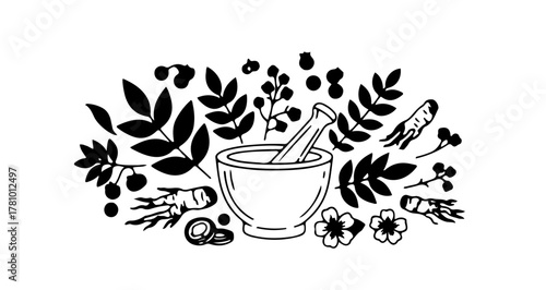 Herbal Medicine Vector Illustration – Mortar and Medicinal Plants Line Art
