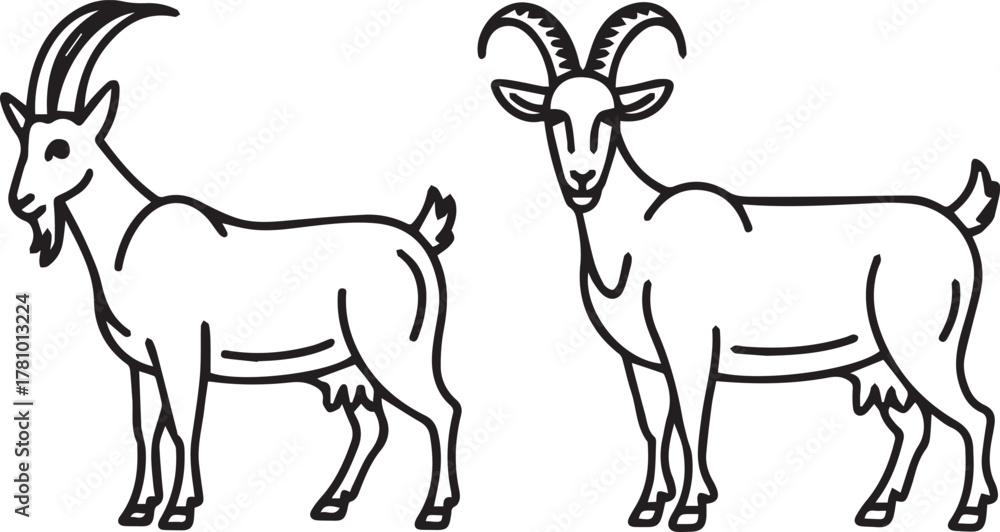 Fototapeta premium Black and white outline drawing of pair of domesticated goats.