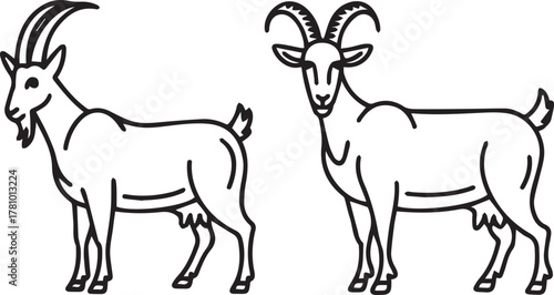Black and white outline drawing of pair of domesticated goats.