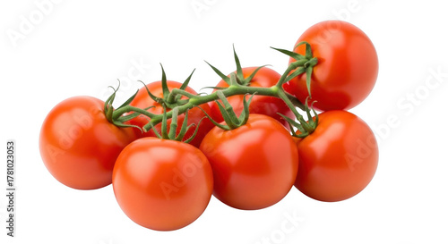 Fresh red vine tomatoes grouped together on stems for culinary use illustration