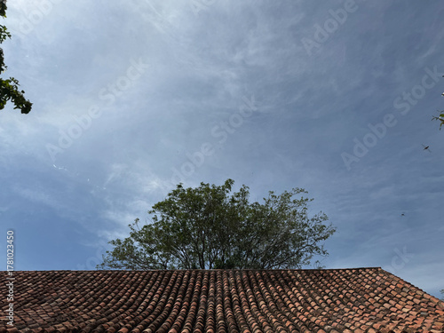 Texture of clay tiles with tree canopies against a blue sky - Traditional architecture