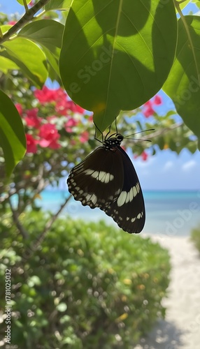 Butterfly rests on a leaf, with flowers and beach in background