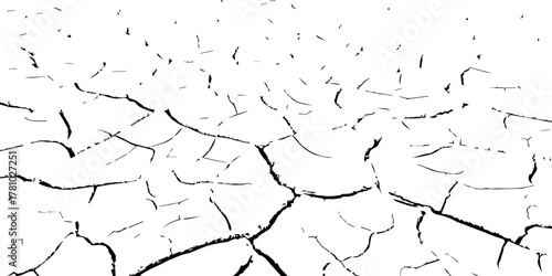 Black and white cracked earth texture showing dry, parched soil surface. Abstract natural background representing drought, climate change, and land degradation. Ideal for design and texture projects.