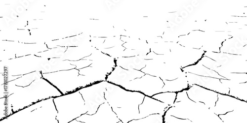 Black and white cracked earth texture showing dry, parched soil surface. Abstract natural background representing drought, climate change, and land degradation. Ideal for design and texture projects.