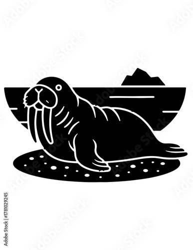 walrus