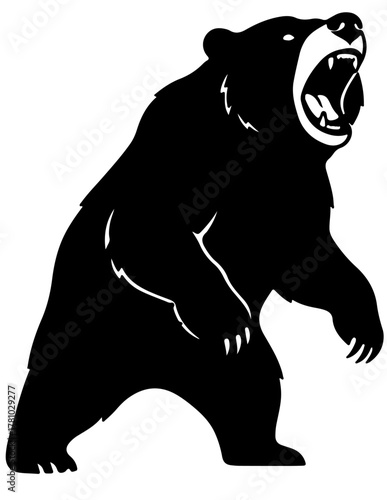 bear