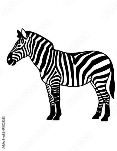 zebra