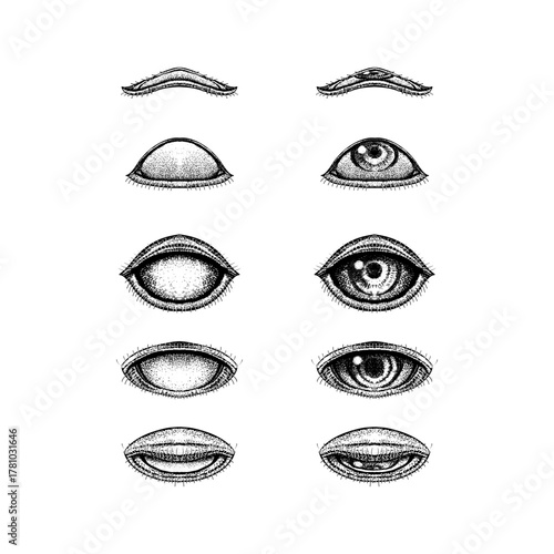 various stages of human eye expressions, drawn in a vintage dotwork style. The artwork captures realistic anatomy of the eyelid, pupil, and eyelashes.