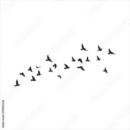  Flying birds silhouettes on white background. Vector illustration. isolated bird flying. tattoo design..