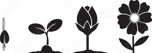 A sequence of four black silhouette icons showing the growth stages of a flower from a seedling to a fully bloomed blossom.
