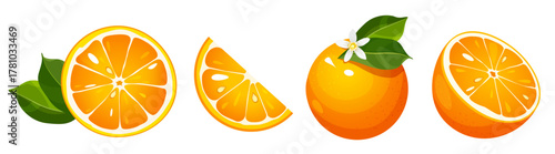 Vector illustration of fresh orange fruit cut in various shapes and sizes, including whole fruits, halves, and slices, isolated on a white background.
