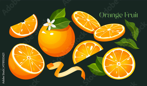Vector illustration of fresh orange fruit cut in various shapes and sizes, including halves, slices, zest, and green leaves, isolated on a dark green background. 