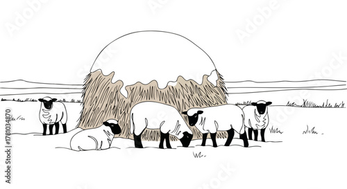 A flock of sheep by a snowy haystack in a winter landscape. Simple line art drawing of farm animals. Rural agricultural scene