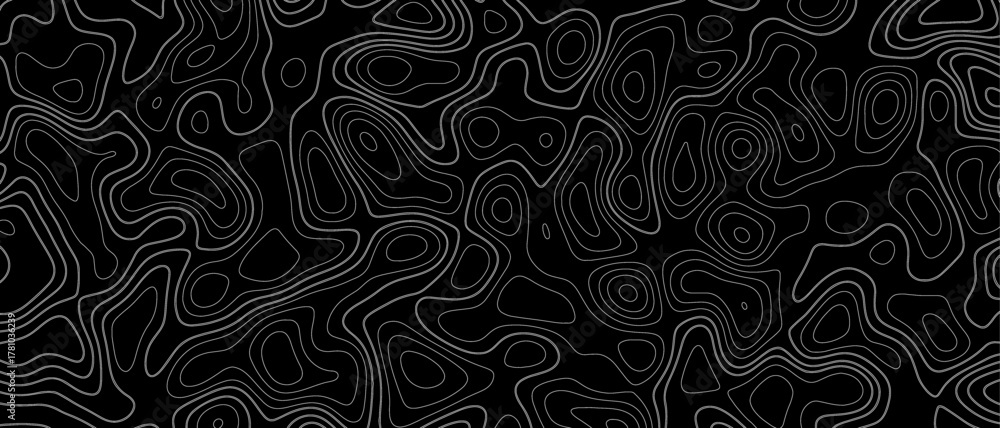 Fototapeta premium Topographic contour map. similar cartography illustration. black and white abstract background