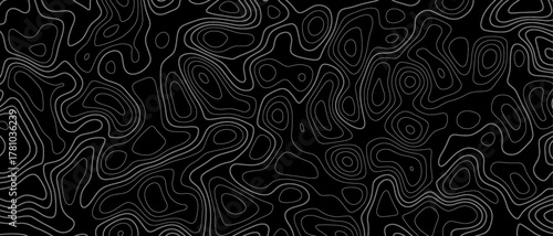 Topographic contour map. similar cartography illustration. black and white abstract background
