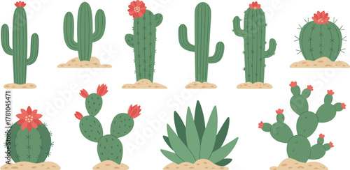 Set of cute cartoon cactus plants with pink flowers, desert succulent illustration collection, flat design isolated on white background