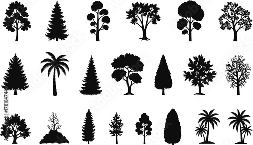 Assorted tree silhouettes vector pack, pine spruce fir oak deciduous and palm shapes, diverse forest elements collection, black botanical clipart