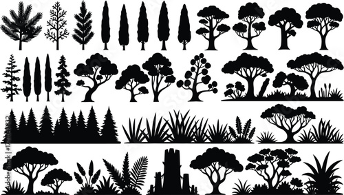Landscape tree and grass silhouettes set, pine spruce cypress and acacia shapes, forest borders and plants, black botanical vector