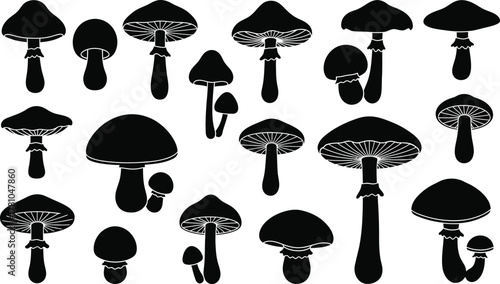 Mixed mushroom silhouettes vector set, gilled caps and stems, single and pair clusters, black botanical fungi clipart for patterns and labels