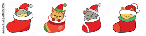 Adorable Cats Sleeping in Christmas Stockings