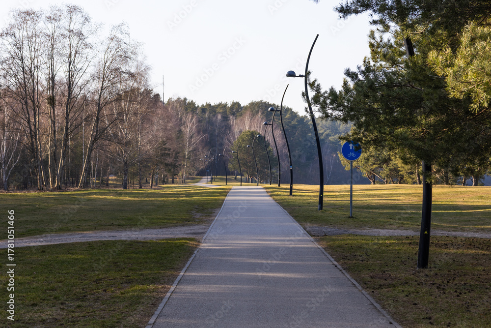 Naklejka premium Empty bike and pedestrian path through quiet parkland toward forest