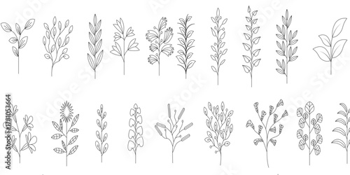 A collection of dried flowers, showcasing various dried blooms. Dried flowers in different shapes and colors. Elegant dried flowers for decoration.