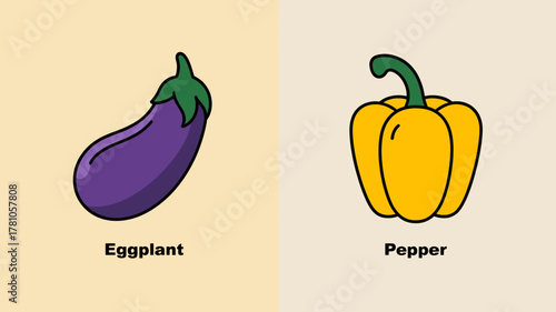Eggplant and pepper illustration simple flat vector design isolated on split background