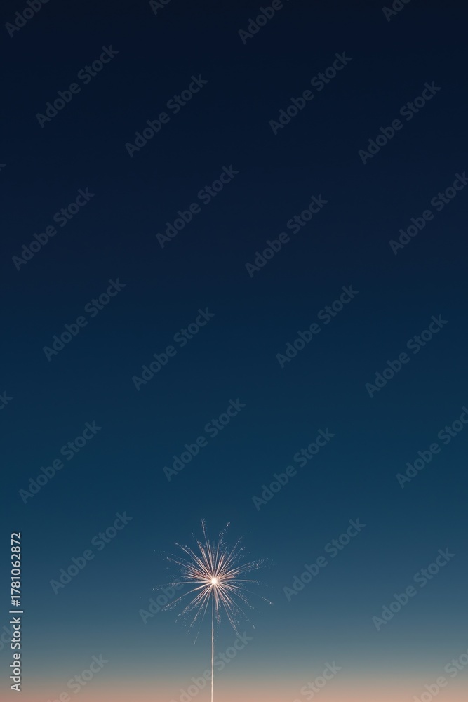 Fototapeta premium Firework lighting up dark night sky during celebration