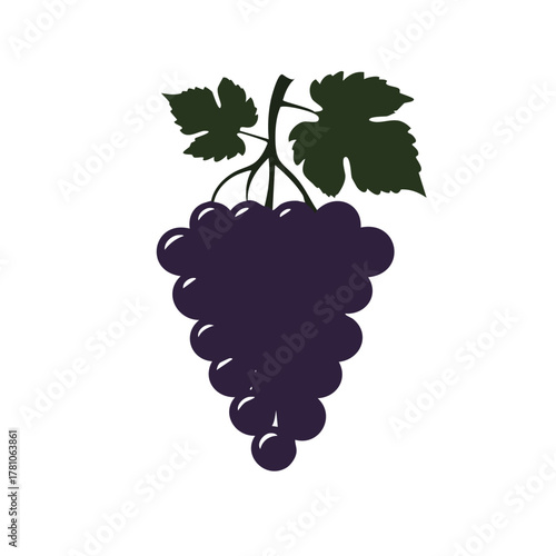 grapes vector illustration on white background.