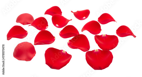 Scattered Red Rose Petals Isolated on a White Background, Symbolizing Love and Romance