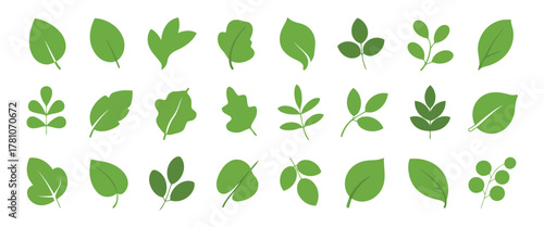 Assortment of Green Leaf Graphics on White Botanical Elements and Foliage