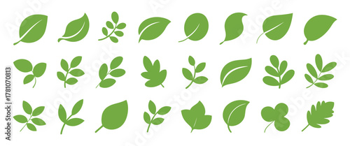 Collection of Various Green Leaf Icons and Shapes Isolated on White Background