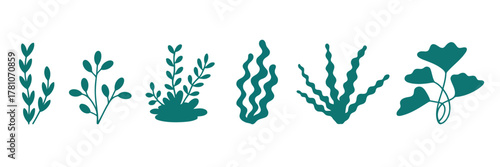 Teal Seaweed Plants Illustrations Set for Design Projects and Crafts