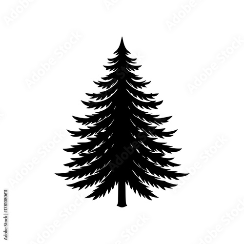 Isolated fir tree silhouette, evergreen conifer graphic symbol