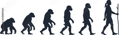 Evolution of human beings, from ape to man, silhouette vector illustration showing stages of human evolution, from primate to modern human